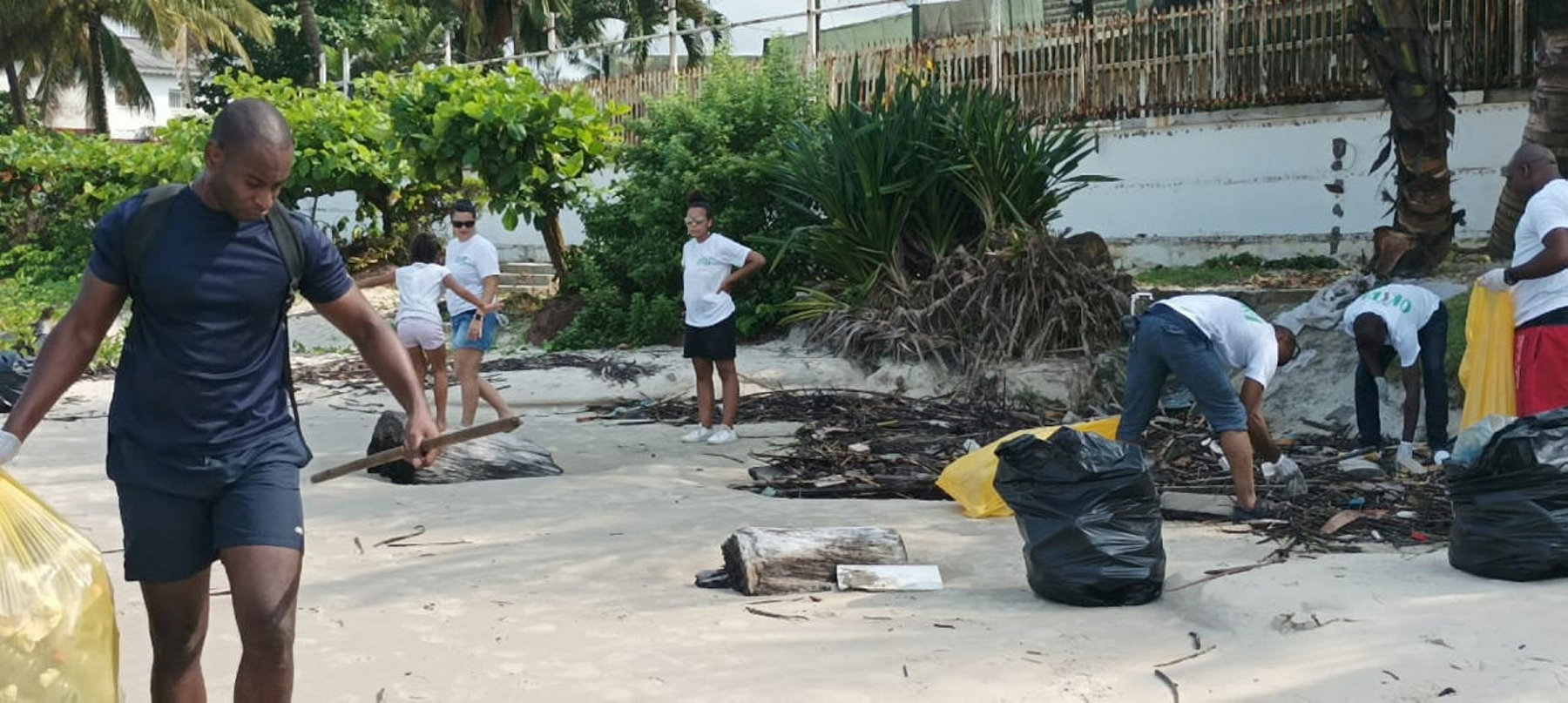 Dans la peau d’un bébé tortue de mer