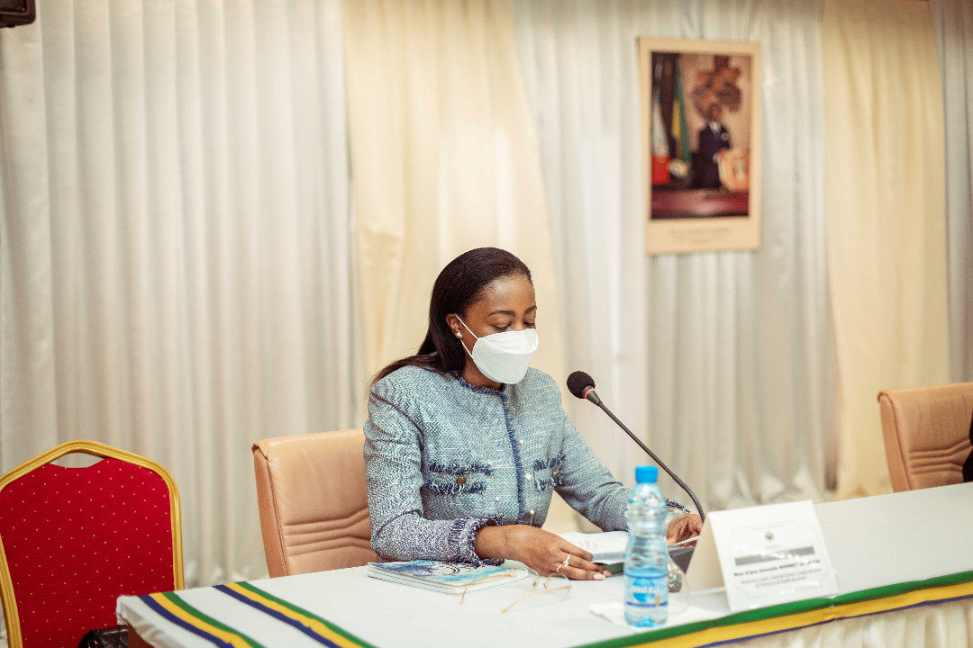 Sénat : Antonela Ndembet-Damas plaide pour la réforme du CSM 