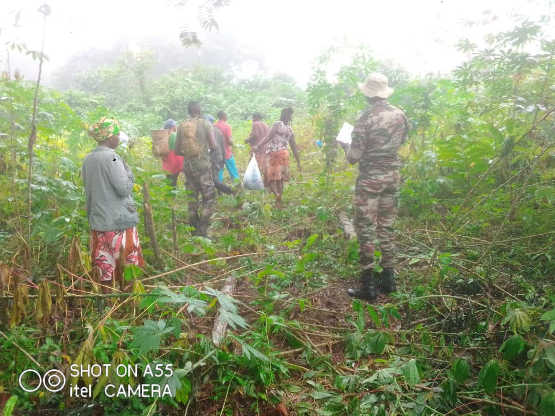 Lebamba : première attaque des éléphants à Moukoundou