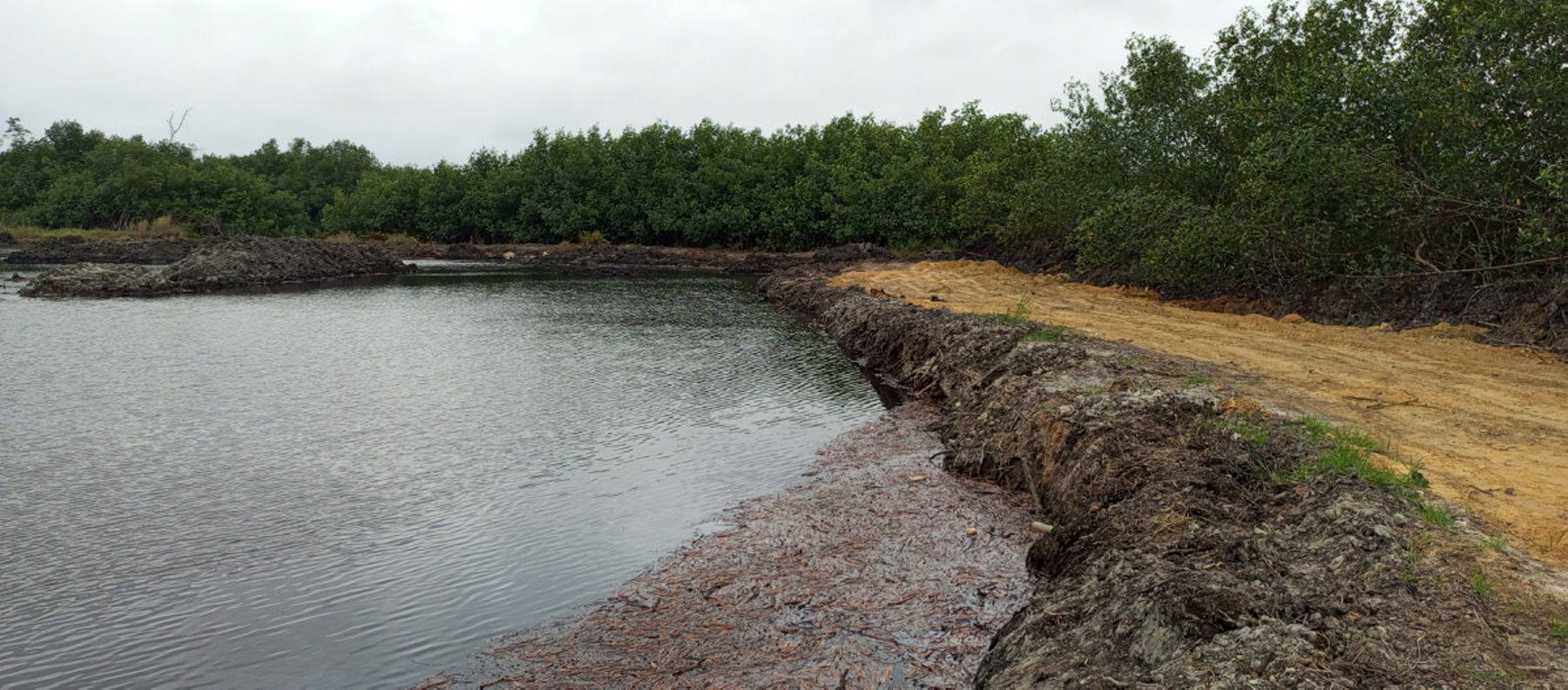 Destruction de la mangrove et pollution : les populations de Bel-Air vont s'en remettre à la justice