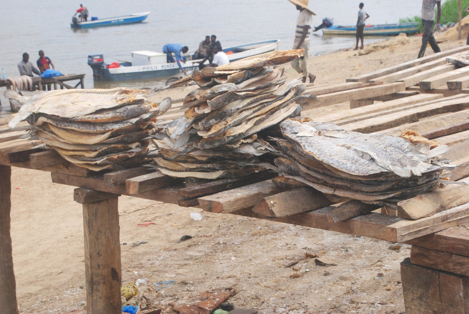 Pêche : 400 millions de francs d’exportation