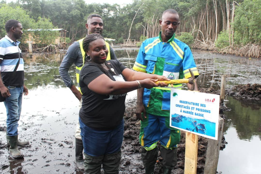 Mangrove : le beau geste de UBA