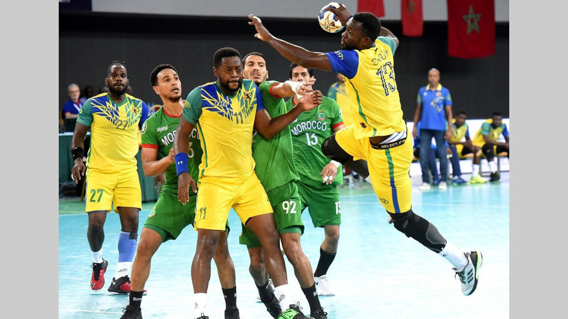 Handball : Des doutes autour des Panthères