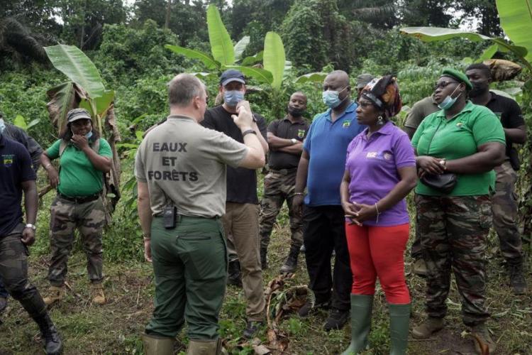 Conflit homme-éléphant : Lee White veut accompagner les victimes