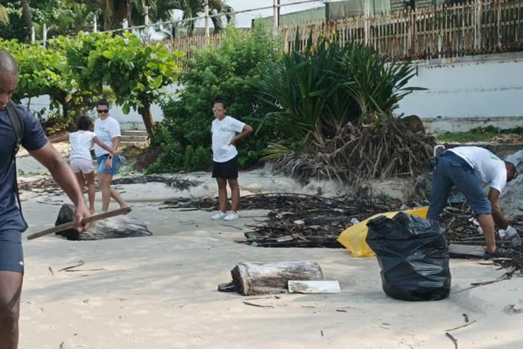 Dans la peau d’un bébé tortue de mer