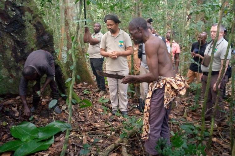 Forêts communautaires : améliorer la qualité de vie des populations