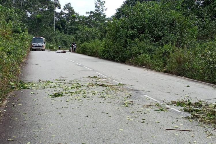 Ndjolé : un grumier tue un villageois à Mevang