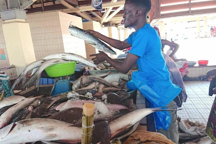 Port-Gentil : le poisson toujours cher