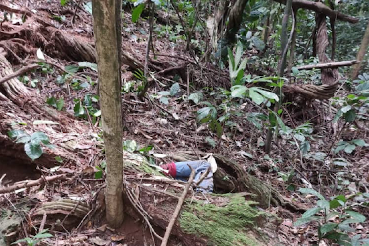 Fougamou : un chasseur tué par un éléphant à Oyenano