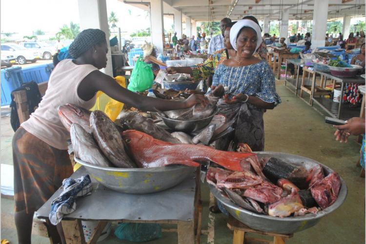 Cemac :  Légère baisse au 1er trimestre 2019