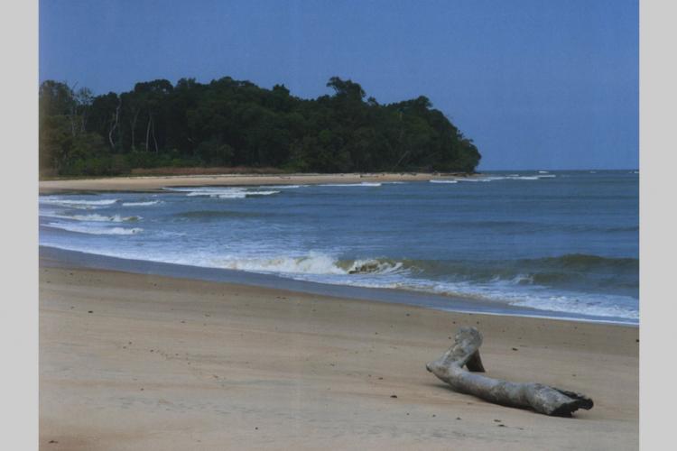 Evaluation des stocks halieutiques du Gabon : L’Espagne va dépêcher une nouvelle mission