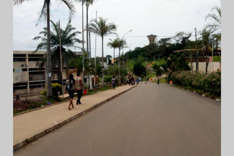 Mouvement d'humeur du Snec : Une phase de non-retour