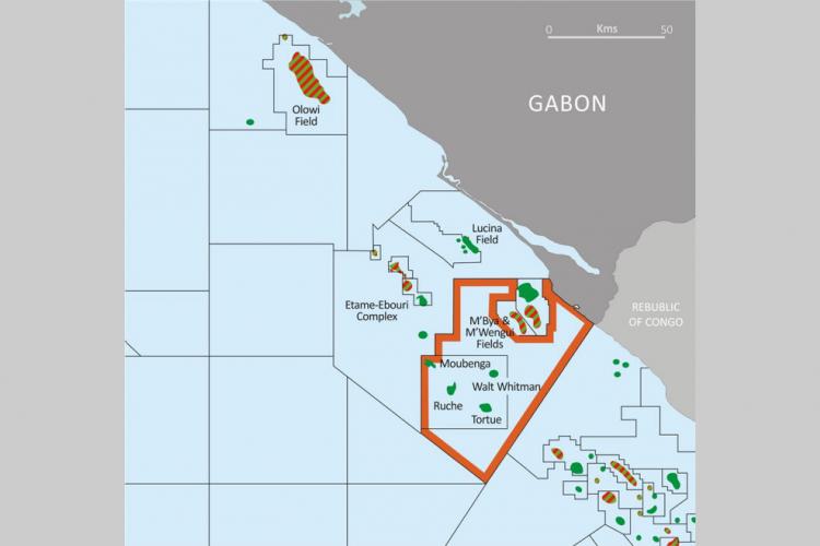 Pétrole/Exploration/Panoro Energy : 50 millions de barils de pétrole découverts