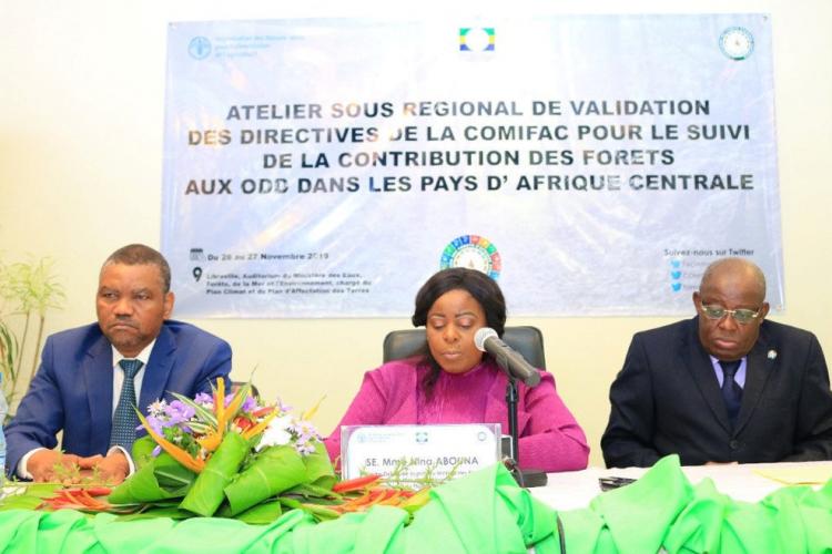 Développement : La contribution des forêts