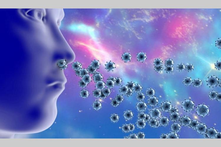 Santé : Le mode de transmission