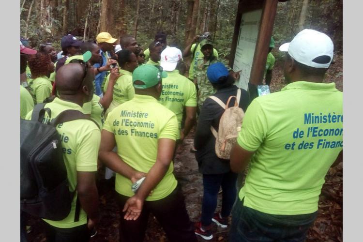 Ecotourisme : Une randonnée pour l'esprit d'équipe