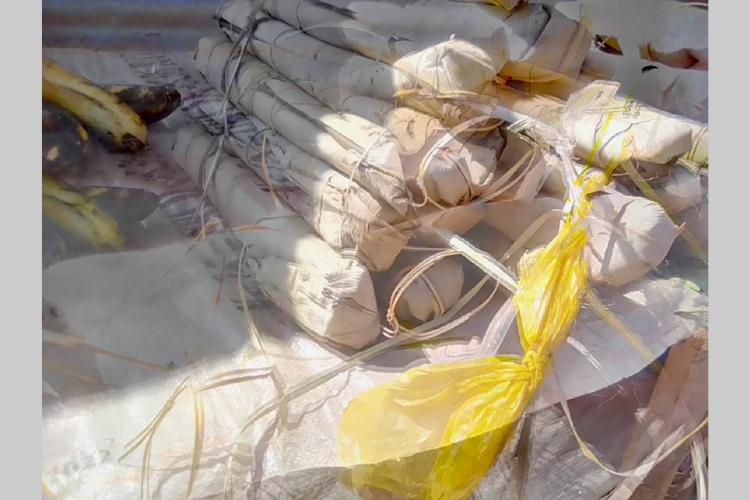Pénurie de manioc : Sotrader ventile 7 tonnes d’intrants