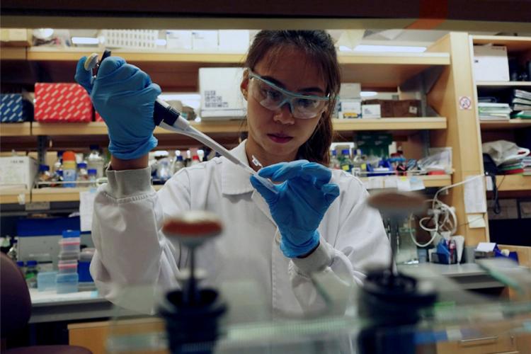 Recherche médicale : une molécule vient, in vitro, à bout du coronavirus
