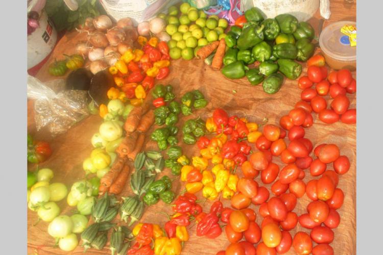 Consommation : impact sur les denrées alimentaires