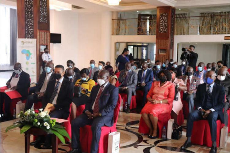 Séminaire Caistab : Comment accroître la contribution du café dans le développement économique du Gabon
