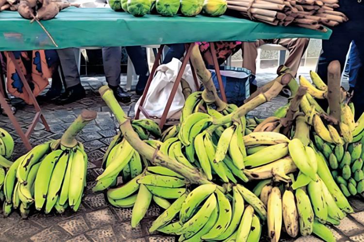 Nutrition : le Gabon accuse de nombreux déficits