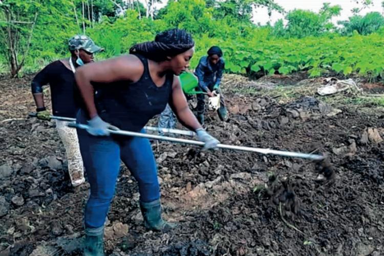 Agriculture, Élevage, Pêche : le CTRI veut stimuler la production